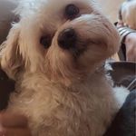 Debra Langdon Minneman - @debluvslyfe - Instagram