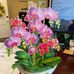 Debra Langill - Facebook
