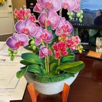 Debra Langill - @langideb2023 - Instagram
