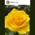 Debra Langston - Facebook