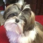 deb - @debra_lanza - Instagram