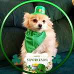 Debra LaPierre - Facebook