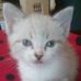 Debra Lasher - Facebook