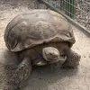 debralassiter - @debralassiter - TikTok