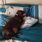 Debra Latham - Facebook