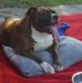 Debra Latimer - Facebook