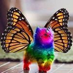 Debra Latimer - @smugdie - Instagram