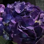 Debra Latimer - @debra.s.latimer - Instagram