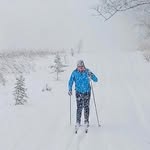 Deb Laurie - @debra_laurie_art - Instagram