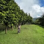 Debra Lau - @debralau999 - Instagram