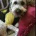 Debbie A Lavender - Facebook