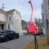 debrakaylavigne - @debrakaylavigne - TikTok