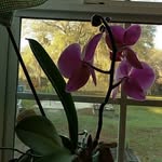 Debra Layne - @debra.layne.92 - Instagram