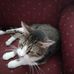 Debra P Lay - Facebook