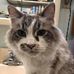 Deborah Lear - Facebook