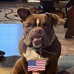 Debra Lear Dover - @debradover - Instagram