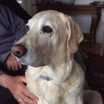 Debra Lyons O'Leary - @lyonsolearydebra - Instagram