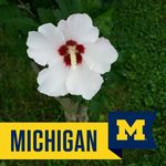 Debra Horton-Legg - @biggrandma.hortonlegg - Instagram