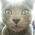 Debra-Leigh Parkinson - @debbs571 - Instagram