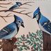 Deb Lemke - Facebook