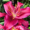 Debra Lemke597 - @deb324md - TikTok