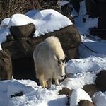 Debra Lemke Dawes - @debradawes - Instagram