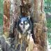 Debra Leslie - Facebook