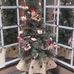 Debra Lilly - Facebook