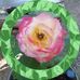 Debra Locklear - Facebook