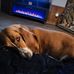 Debra Loftin - Facebook