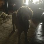 Debra lowe - @debralowe57 - Instagram