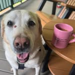 Debra Lowe - @home.grown14 - Instagram