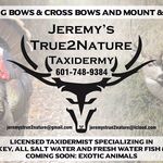 Debra Lowe - @jeremystrue2nature - Instagram