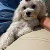 DebbieStene - @debralutz59 - TikTok