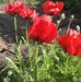 Debra Jean Lyman - Facebook