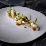 Debra Maassen - @debramaassen - Instagram