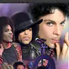 debramaddox8 - @debramaddox8 - TikTok