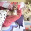 debramaestas595 - @debramaestas595 - TikTok