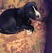 Debra Major - Facebook