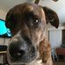 Debra Major - Facebook