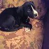 debramajor3 - @debramajor3 - TikTok