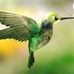 Debbie Makowski - Facebook