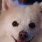 Debra Makowski - @meijunghinv - Instagram