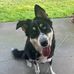 Debra Maness - Facebook