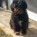 Debra Mann - Facebook