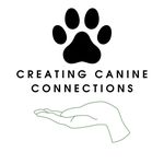 Debra Mann - @creatingcanineconnections - Instagram