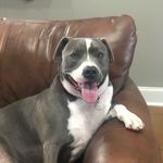 Debra Mann Campbell - @debracampbell9175 - Instagram