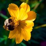 Debra Johnson-Markham - @nowaynow2022 - Instagram