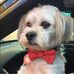Debbie Markovich - Facebook