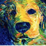 Debra Marlin - @yellowdogbooks - Instagram